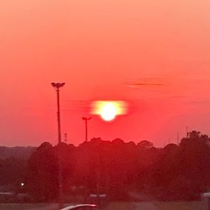 Meet your Posher, Emely